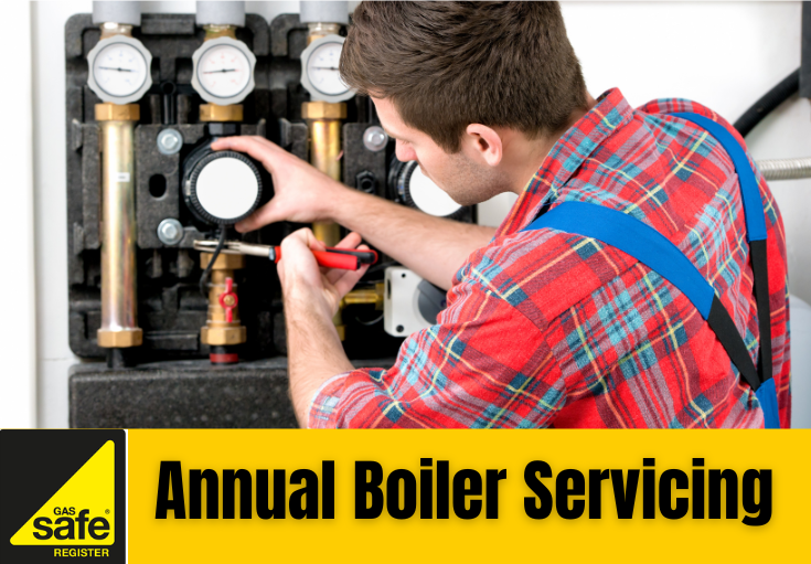annual boiler servicing Herne Bay
